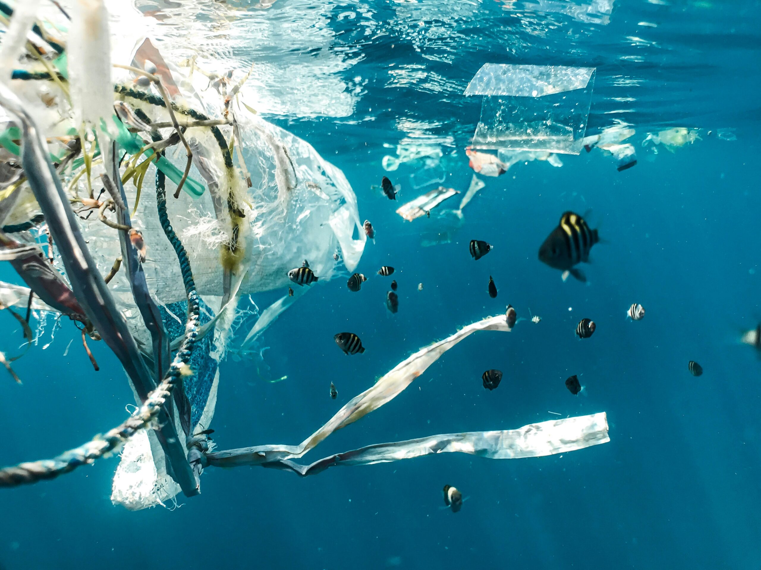 Plastikas. Unsplash nuotr
