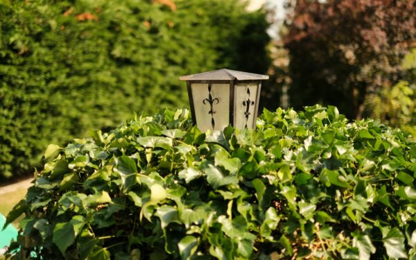 Kieme esančios saulės lempos šviečia per silpnai? Padarėte vieną paprastą klaidą