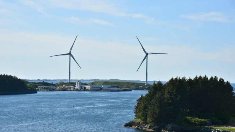 Norvegijoje išbandytas metodas davė įspūdingą rezultatą: paukščių žūčių smarkiai sumažėjo