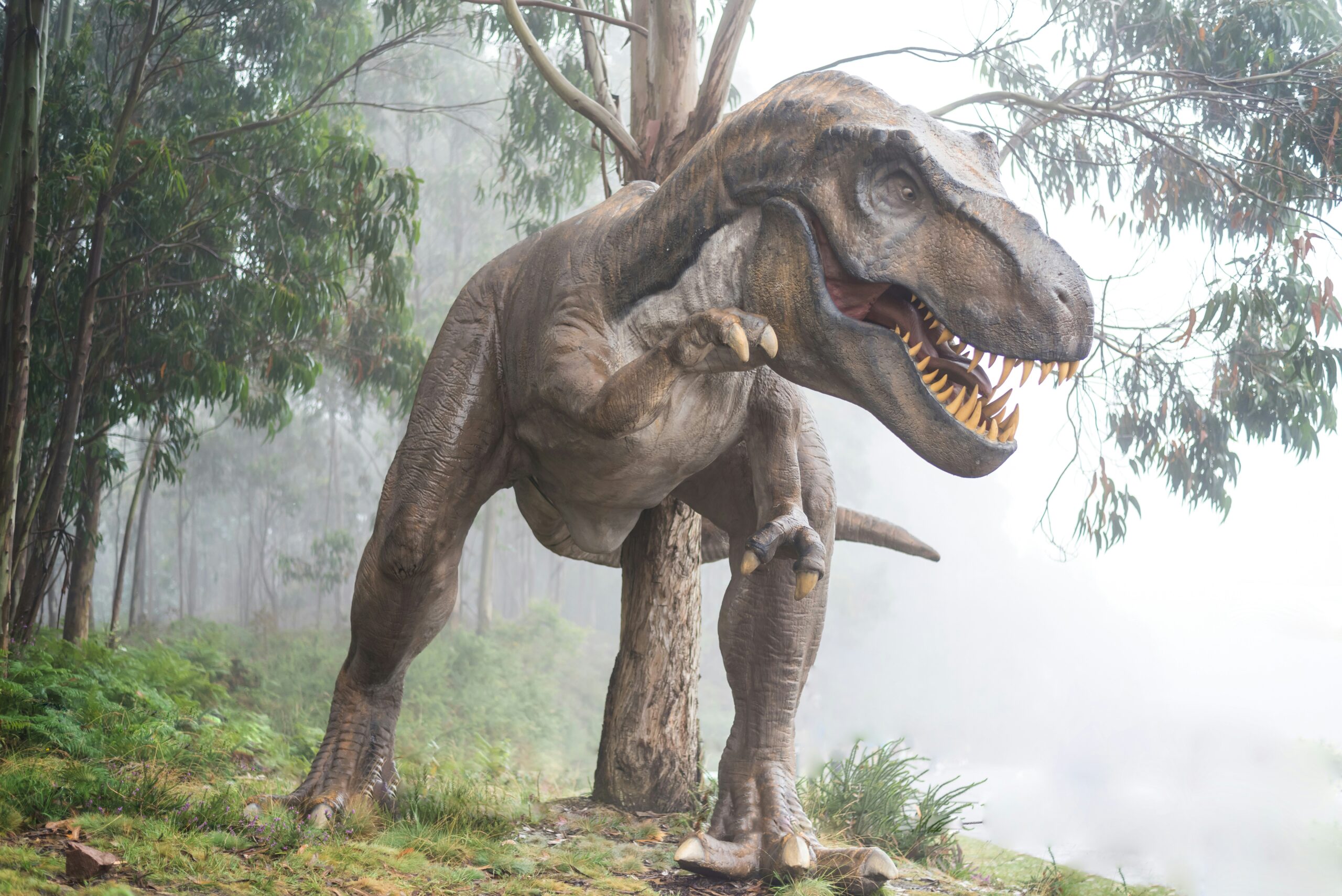 Tiranozauras rex. Unsplash nuotr