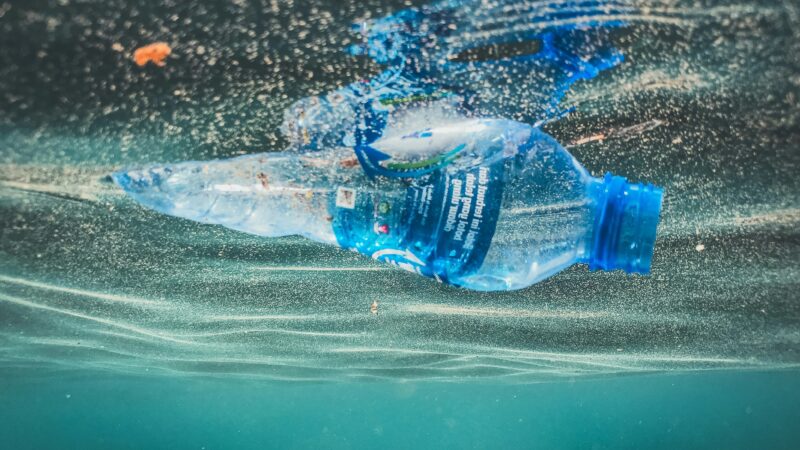 Didelis pavojus, kurio nematome: plastiko dalelės jau aptinkamos žmogaus kūne