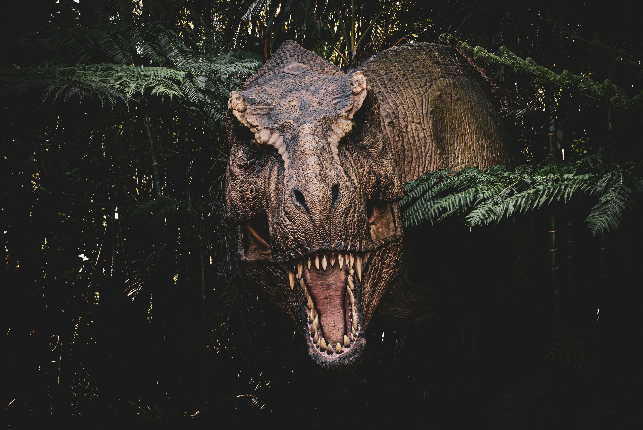 Tiranozauras rex. Unsplash nuotr
